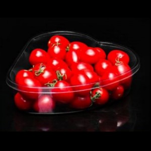 Sydänlaatikko 185*165*50 mm hj-1904